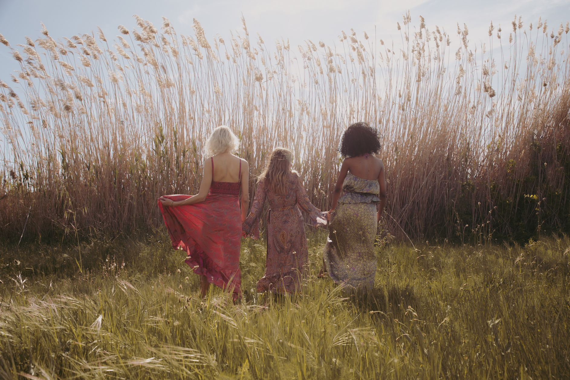 Three Diverse Women Holding Hands While Walking in the Field